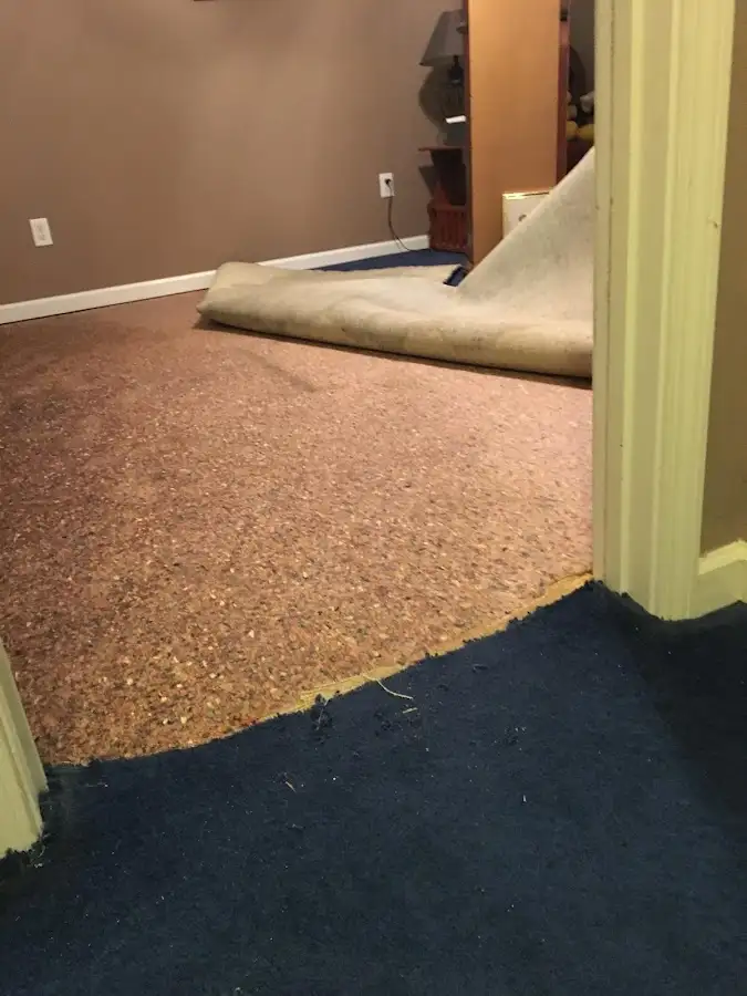 Carpet pad removal revealing water damage during Water Mitigation Services in Medfield