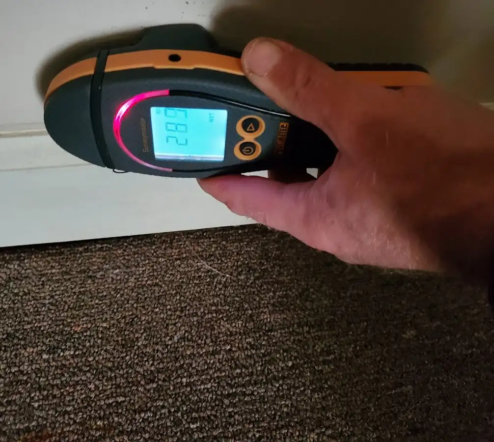 Moisture detection at baseboard during Sewage Cleanup & Sanitation in Medfield